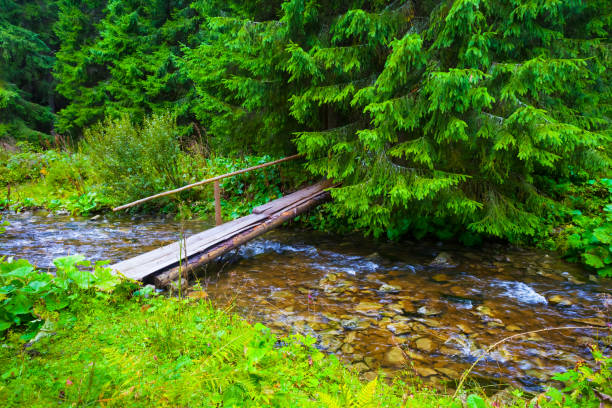 small wooden bridge over mountain river
