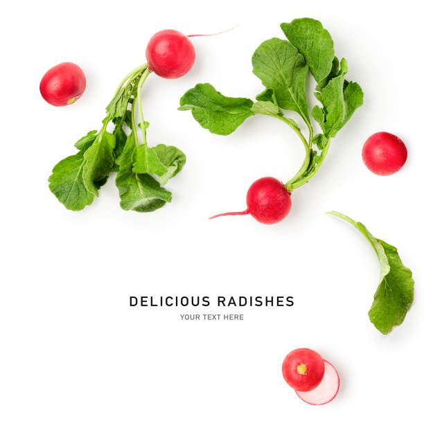 istock Delicious red radish and leaf composition isolated on white background 2156456423