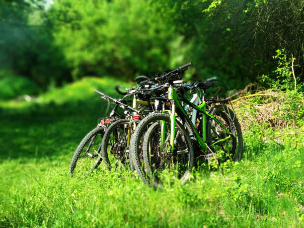 cycling on forest trail