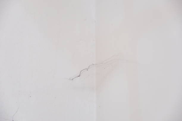 istock cobwebs on the side of the house wall 2156457869