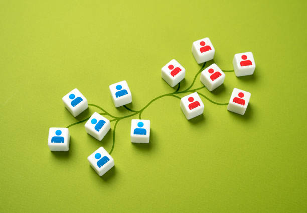istock Connections between groups. Merging teams. Business relationship. Family ties. 2156459522