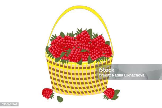 Raspberries In A Basket Ripe Raspberry With Sepals Raspberry Closeup-vektorgrafik och fler bilder på Affär