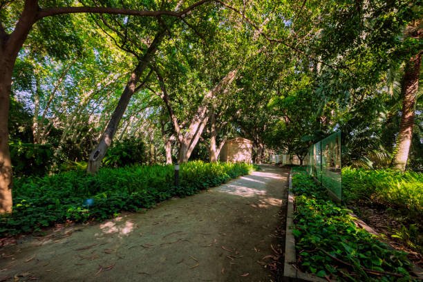 istock Pathway surrounded by lush green trees and plants in botanical garden 2156463374
