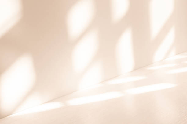 istock Wall interior background, studio and backdrops show products.with shadow leaf from window color white and beige . background for text insertion and presentation product 2156465570