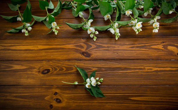 istock wooden dark background with white jasmine flowers 2156466295