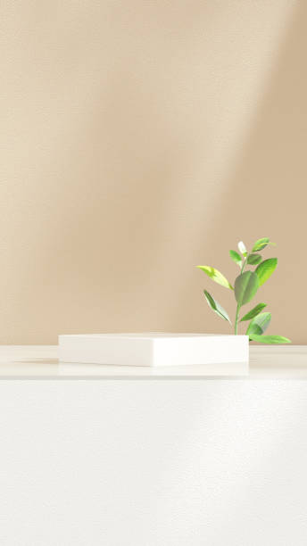 istock Background empty podium display made brown and leaf for showcasing merchandise in portrait 2156467771