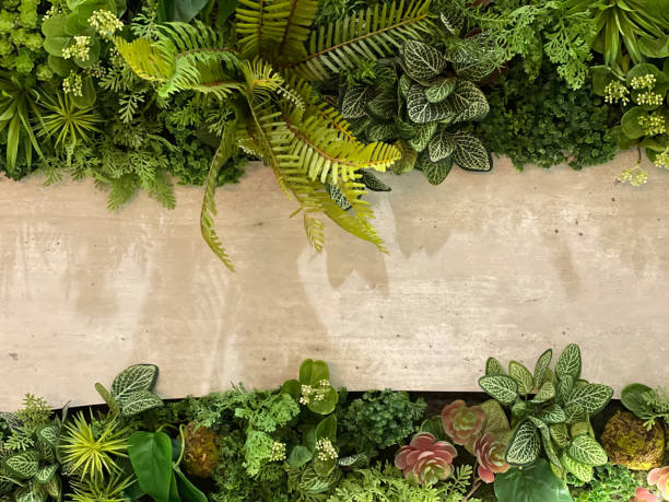 istock Old grunge concrete Texture with leaves use for background nature concept. 2156471377