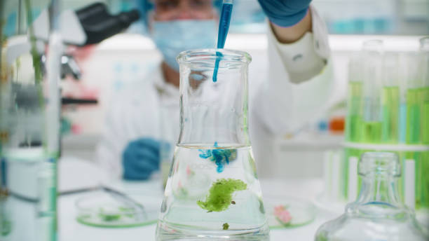 istock Scientist working at botanical research laboratory. Mixing a plant sample with a transparent solution 2156472697