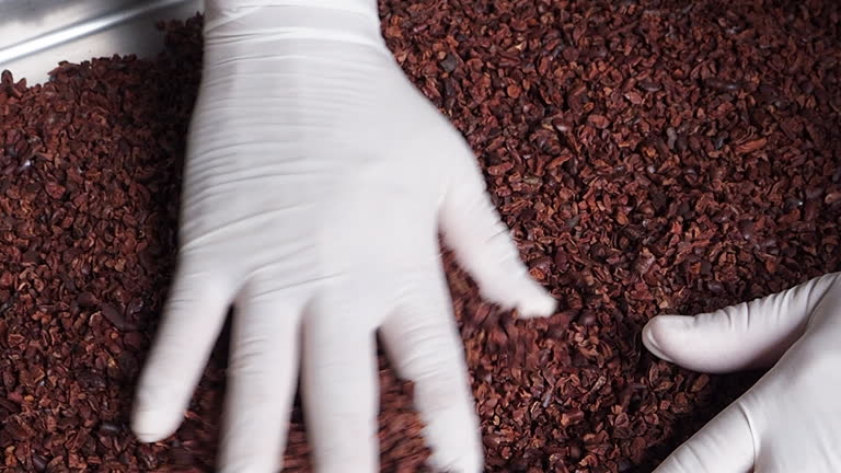 Cacao nibs, Quality control of cocoa nibs, and the Process of making chocolate