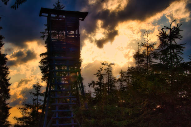 at sunset on the Rennsteig in the Thuringian Forest