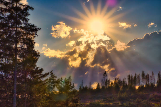 at sunset on the Rennsteig in the Thuringian Forest