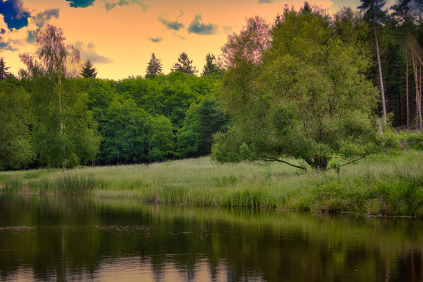 at sunset on the Rennsteig in the Thuringian Forest