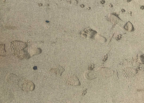 Full frame of many different shoes and footprints on the dry sand of beach. High angle view of footprints on sandy beach.