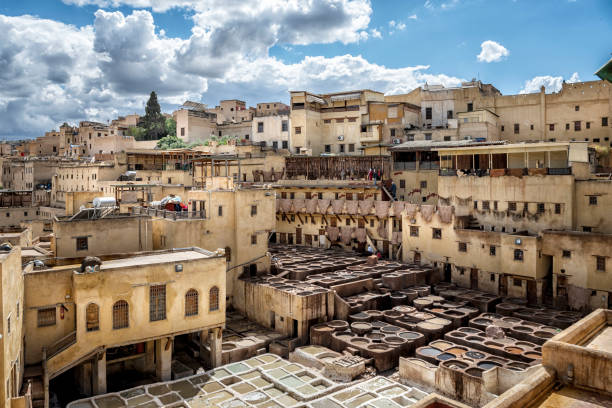 istock Tanneries in Fes, Morocco 2156479443