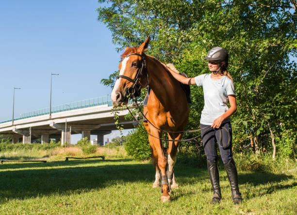 istock woman riding a horse 2156480952
