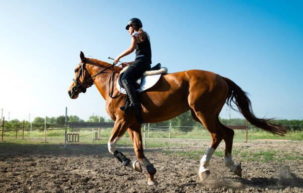 istock woman riding a horse 2156481041