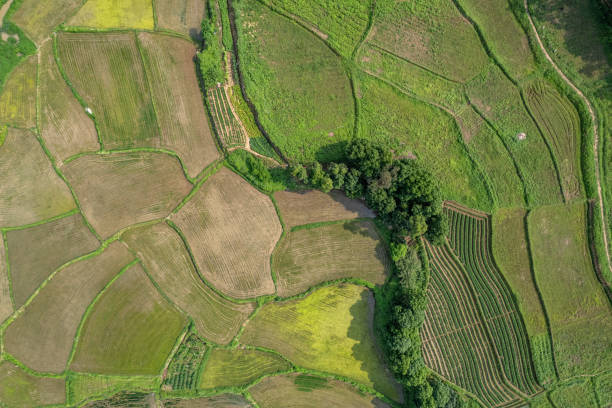 istock Aerial texture map of rural farmland 2156484802