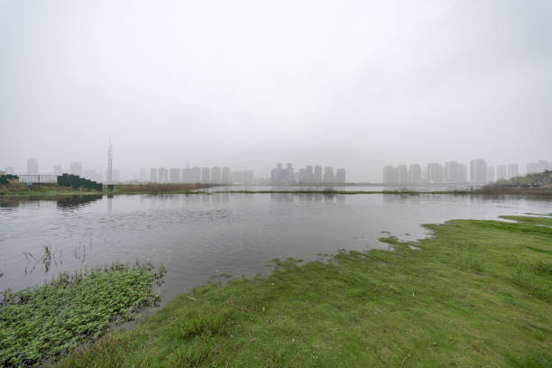 Grassland and urban architecture by the cloudy lake