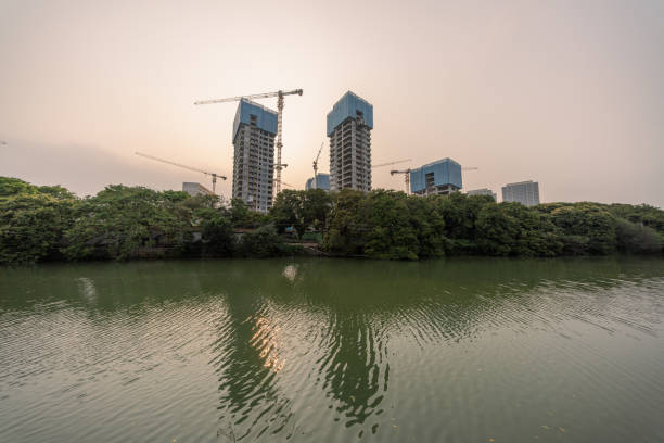 Urban architecture and forests by the river