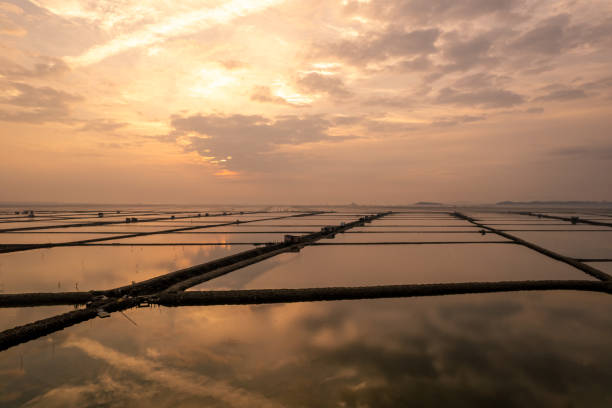 istock Overlooking the mudflat breeding farm at sunrise 2156486798