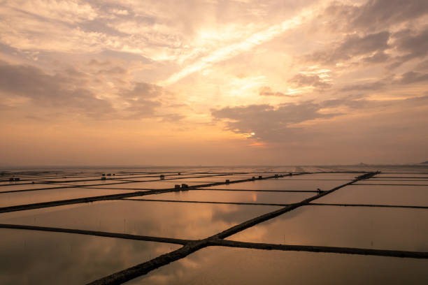 istock Overlooking the mudflat breeding farm at sunrise 2156486926