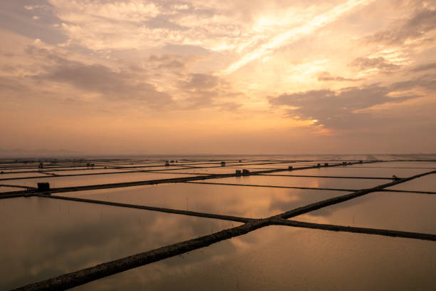 istock Overlooking the mudflat breeding farm at sunrise 2156487093