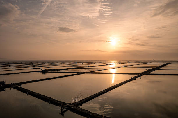 istock Overlooking the mudflat breeding farm at sunrise 2156487182