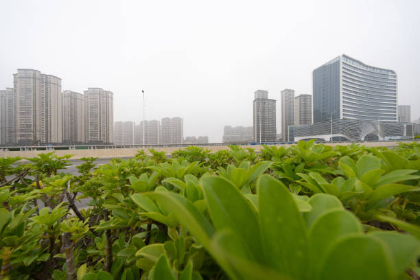 Empty road and nearby urban buildings