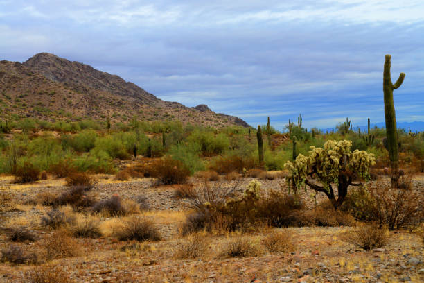 istock San Tan Mountains Sonora Desert Arizona 2156489305