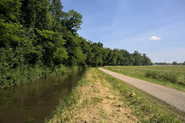 istock Narrow road between a field and a creek 2156492609