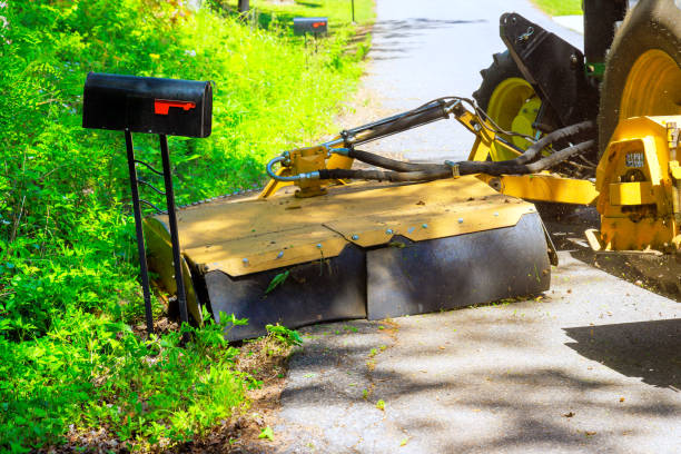 istock An tractor equipped with mower has been mounted on both sides of road for a purpose of cutting grass branches 2156493682