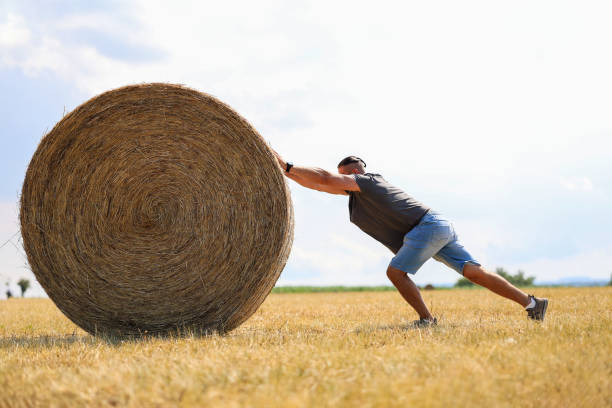 A man pushes a stack of hay in a field