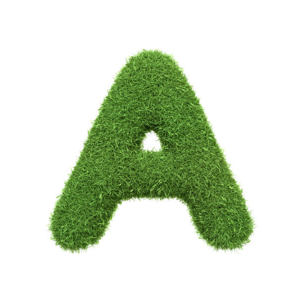 istock Capital letter A shaped from lush green grass, isolated on a white background 2156499784
