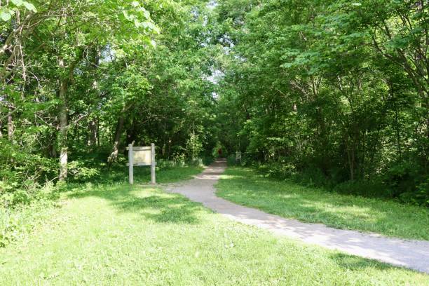 istock Hiking Trail in the Woods 2156500424