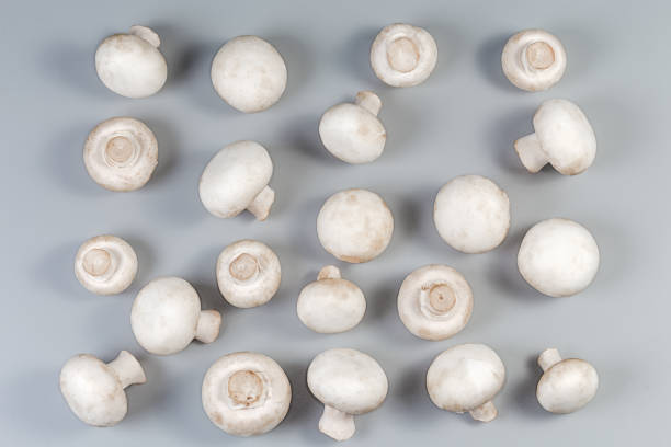 istock Fresh raw whole button mushrooms on gray surface, top view 2156510015