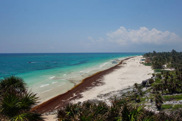 istock Tulum Beach, Mexico. Riviera Maya, Caribbean Sea 2156531435