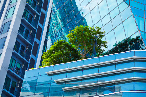 istock Midsection rooftop with tropical trees at modern office building 2156534578