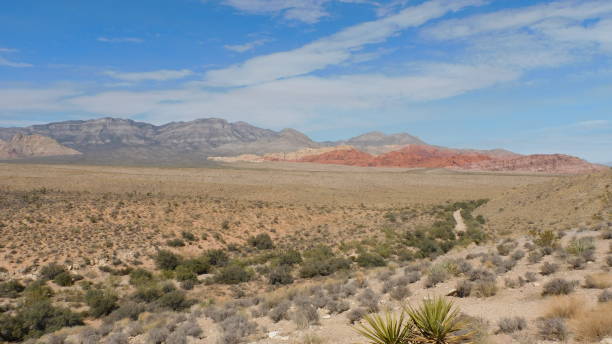 istock Calico Basin Summer Days in Nevada 2156536433