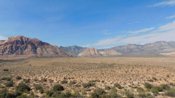 istock Calico Basin Summer Days in Nevada 2156536439