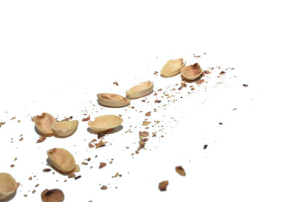Remains of shells and small crumbs from pistachios.
