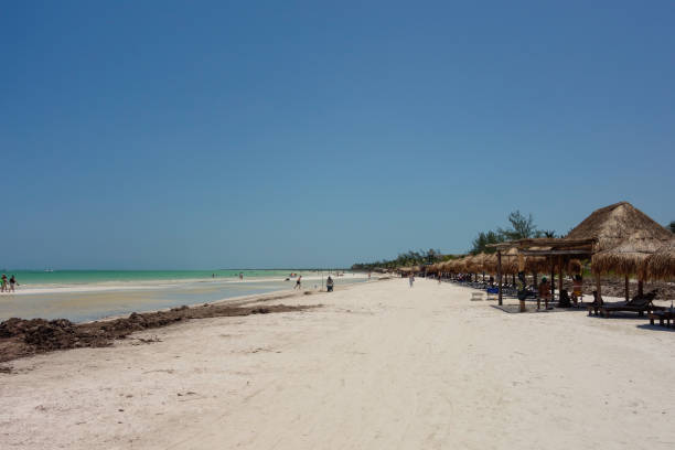 istock beach huts at Holbox island beach, Quintana Roo, Mexico 2156537207