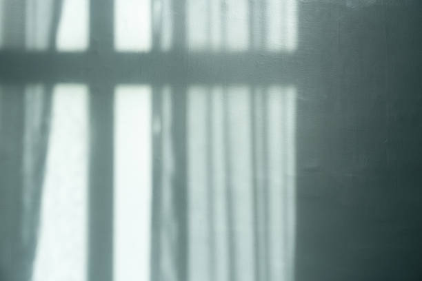 Studio Room with Light and shadows lines from see through curtain on concrete sureface texture,Empty Cement wall with sunlight reflection for Product Present