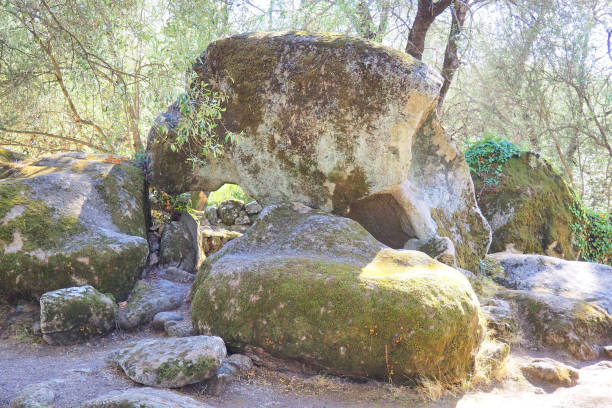 Due to the beauty of its menhir statues, Filitosa is undoubtedly the major site of Corsican prehistory. Its menhir statues constitute one of the most spectacular and accomplished manifestations of megalithism in the Mediterranean debido a la belleza de sus estatuas de menhires, filitosa es sin duda el principal yacimiento de la prehistoria de córcega. sus estatuas de menhires constituyen una de las manifestaciones más espectaculares y logradas del megalitismo en el mediterráneo