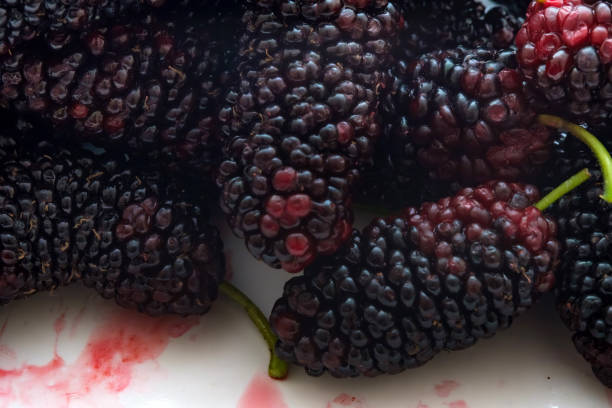 Black mulberry. Close-up of mullberies in plate. Cropped full frame photo. High detail macrophotograph of fruit.