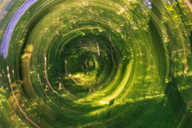 Green forest shot like a portal. Kojori,  Tbilisi,  Georgia