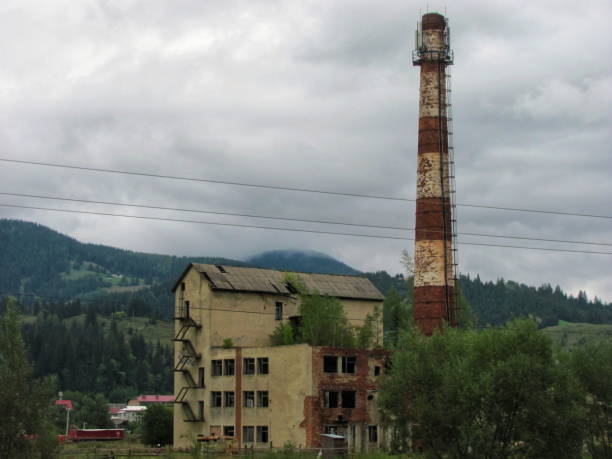 A captivating image of an abandoned factory enveloped by lush greenery, symbolizing nature's resilience and reclamation