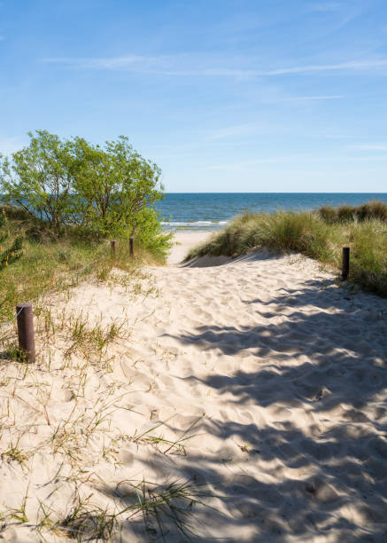 istock deserted beach of  Baltic sea, Germany 2156547387