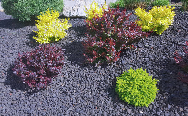 istock Simplicity And Beauty In A Small Water Conservation Garden 2156556566