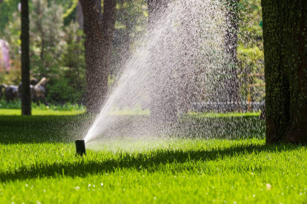 istock Flying splashes of water on green grass. Automatic sprinkler system (Irrigation system) for watering a lawn 2156562738