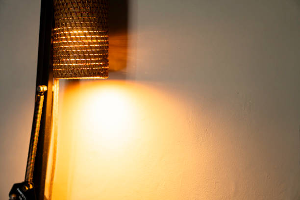 istock Woven lampshade with warm light bulb 2156566903